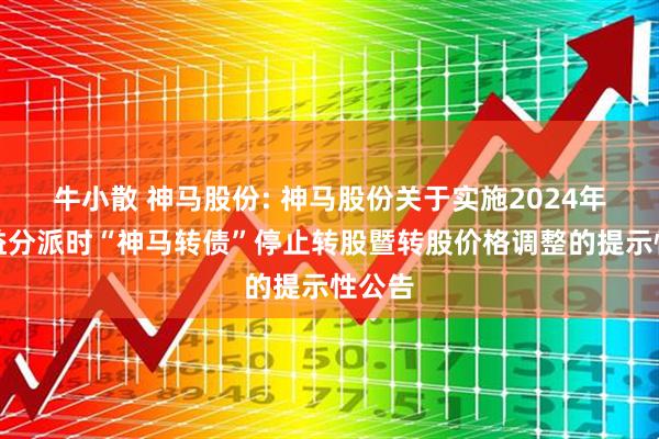 牛小散 神马股份: 神马股份关于实施2024年度权益分派时“神马转债”停止转股暨转股价格调整的提示性公告